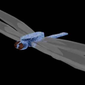 Dragonfly Lowpoly 3d model