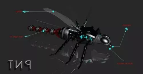 Dragonfly Lowpoly 3d model Dragonfly Lowpoly 3d model