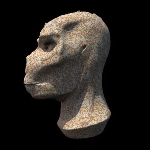 Abstract Skull Sculpt 3d model Abstract Skull Sculpt 3d model