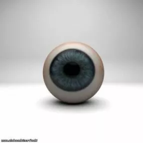 Eye 3d model