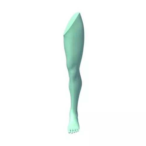 Dragon Western Design 3d model