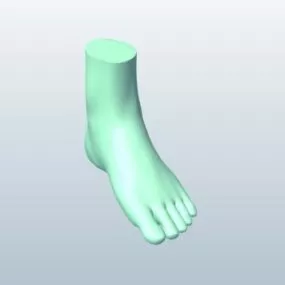 Foot Sculpt 3d model