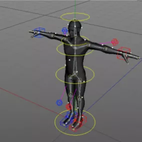 Human Character Rigged 3d model