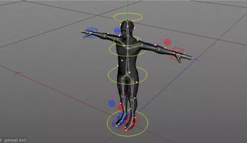Human Character Rigged 3d model Human Character Rigged 3d model