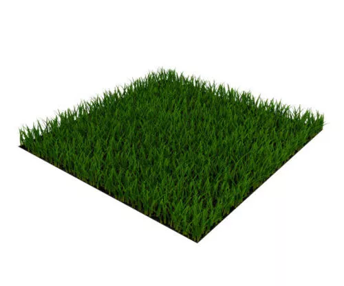 Realistic Nature Grass 3d model Realistic Nature Grass 3d model