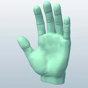 Hand Typical Printable 3d model