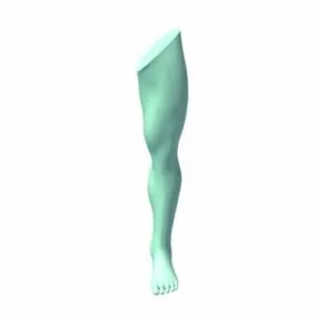 Leg Sculpt 3d model