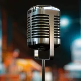 Singer Microphone 3d model