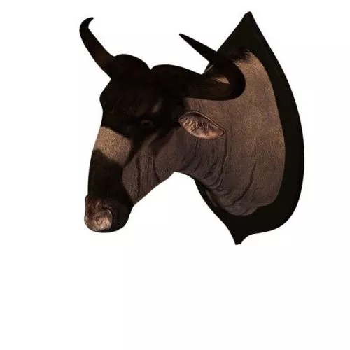 Antelope Head 3d model Antelope Head 3d model