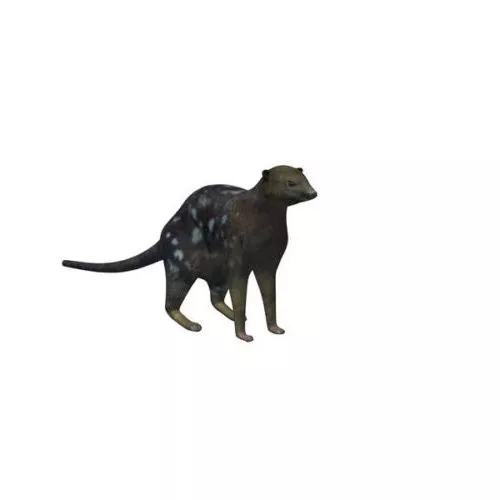 Polygon Tiger 3d model