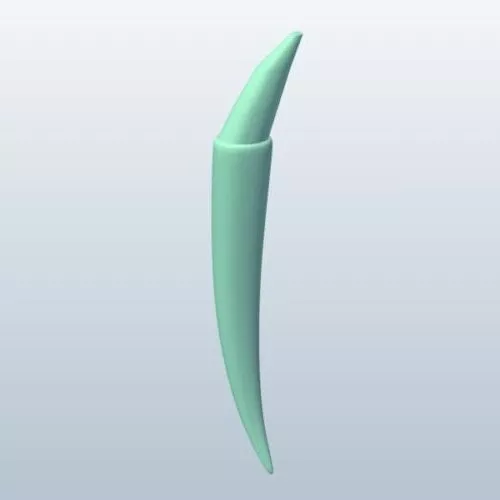 Sabertooth Tiger Tooth 3d model Sabertooth Tiger Tooth 3d model