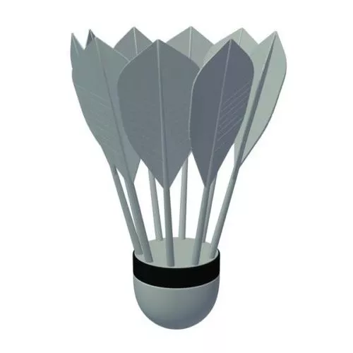 Shuttlecocks Feathers 3d model