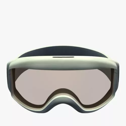 Common Swimming Goggles 3d model