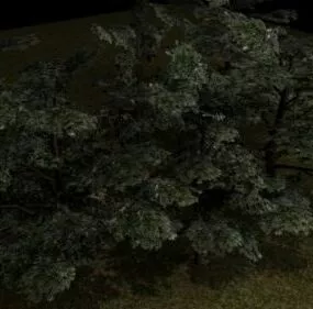 Leaves Tree Lowpoly 3d model
