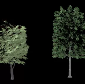 Urban Tree 3d model