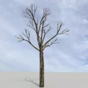 Nature Winter Tree 3d model