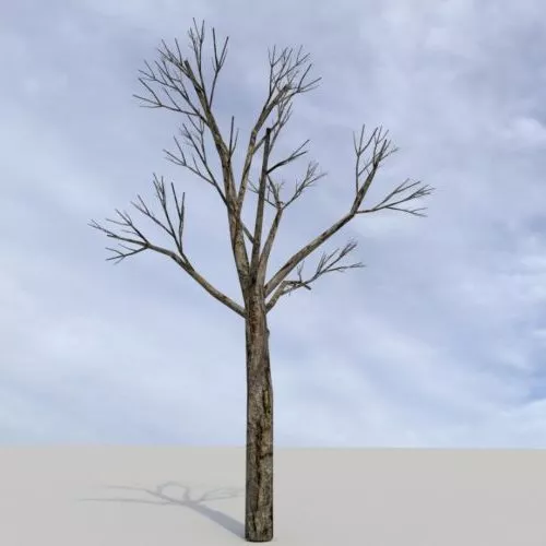 Nature Winter Tree 3d model Nature Winter Tree 3d model