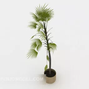 Outdoor Plant Potted 3d model
