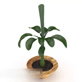 Indoor Wooden Potted Plant 3d model