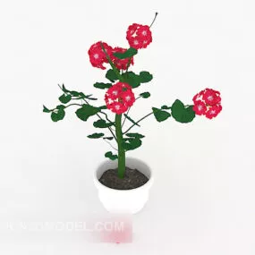 Home Indoor Potted 3d model