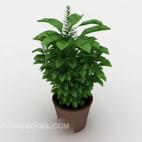 Green Indoor Potted 3d model