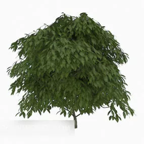 Green Outdoor Plant Tree 3d model