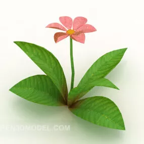 Outdoor Plant Flower Big Leaf 3d model