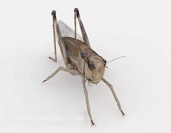 Grasshopper 3d model Grasshopper 3d model