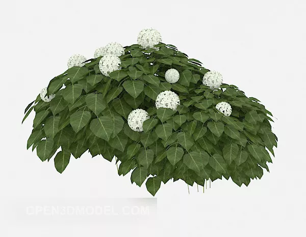 Outdoor Common Green Plant Tree 3d model Outdoor Common Green Plant Tree 3d model