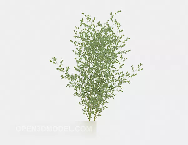 Nature Plant Sapling 3d model Nature Plant Sapling 3d model