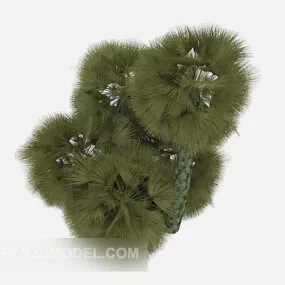Pine Plant Tree 3d model