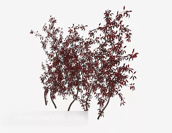 Nature Red Leaf Plant 3d model Nature Red Leaf Plant 3d model