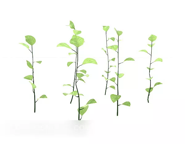 Green Sapling Plant 3d model Green Sapling Plant 3d model