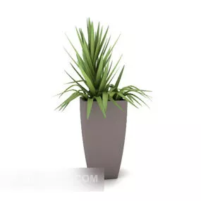 Green Home Potted Plant 3d model