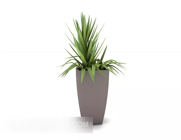 Green Home Potted Plant 3d model Green Home Potted Plant 3d model