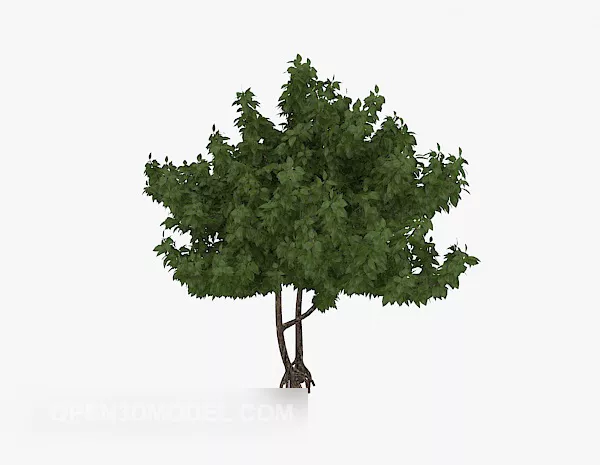 Green Fig Leaf Plant 3d model