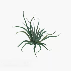 Roadside Green Plant 3d model