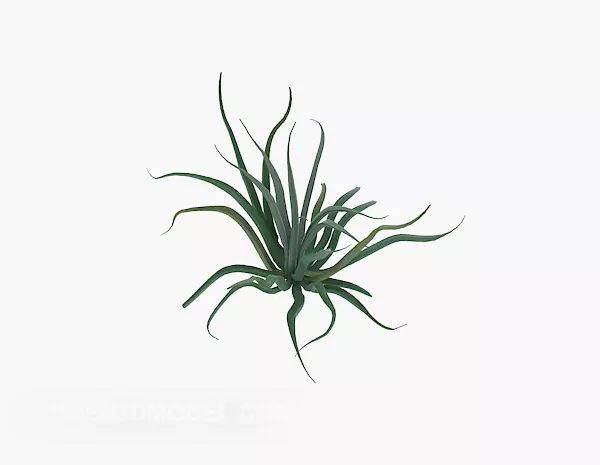 Roadside Green Plant 3d model Roadside Green Plant 3d model