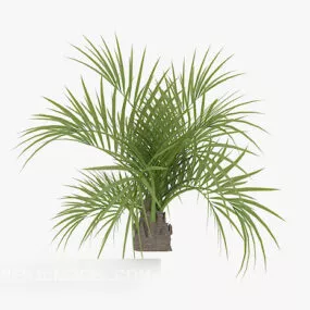 Green Plant V4 3d model
