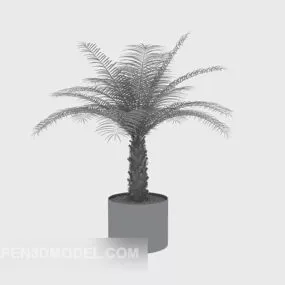 Plant Potted Lowpoly 3d model