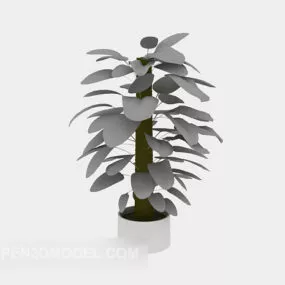 Indoor Green Pot Plant 3d model