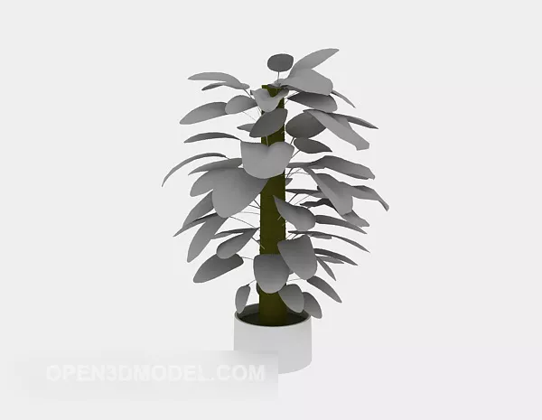 Indoor Green Pot Plant 3d model Indoor Green Pot Plant 3d model