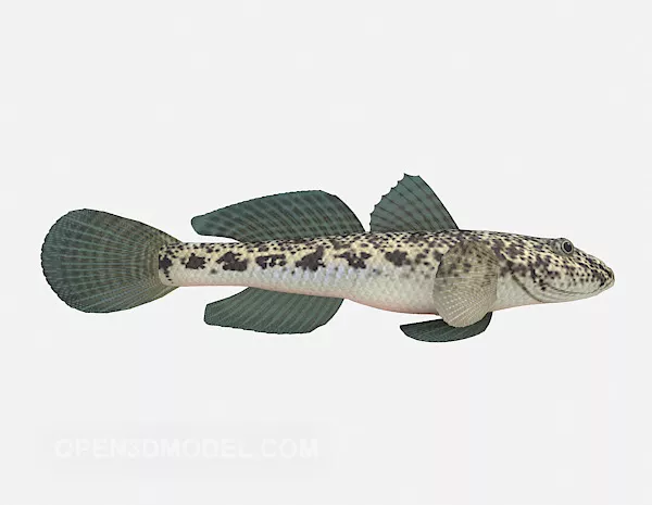 Freshwater Fish 3d model Freshwater Fish 3d model