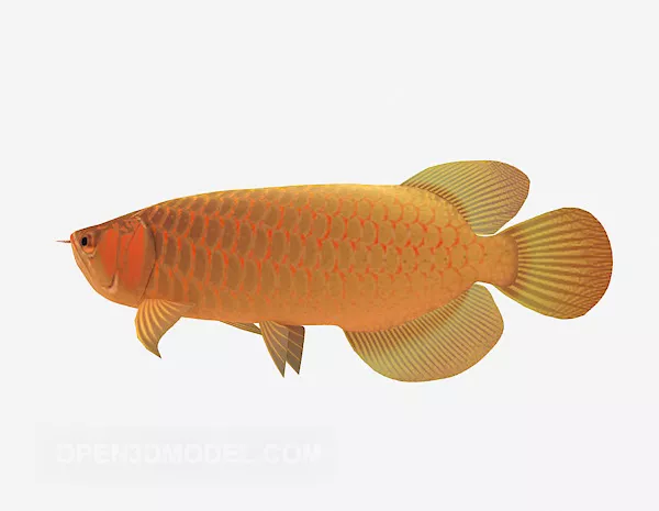 Blue Tang Fish Rigged 3d model