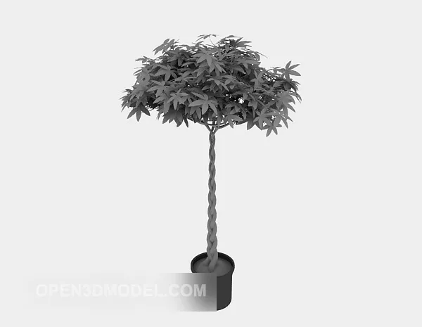 Indoor Potted Plants Decor 3d model Indoor Potted Plants Decor 3d model