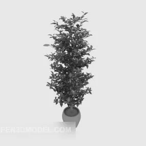 Plant Potted Without Material 3d model