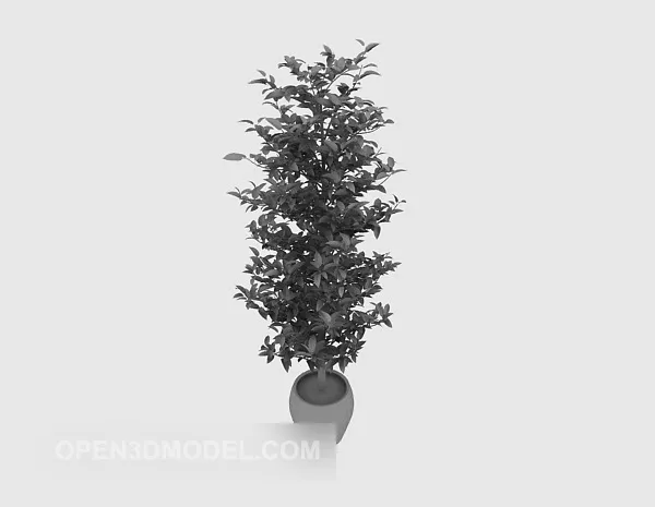Plant Potted Without Material 3d model Plant Potted Without Material 3d model