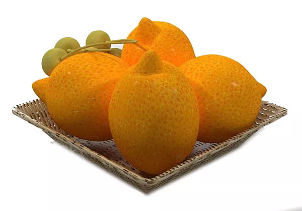 Fruit Pear V1 3d model Fruit Pear V1 3d model