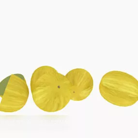 Watermelon Fruit 3d model