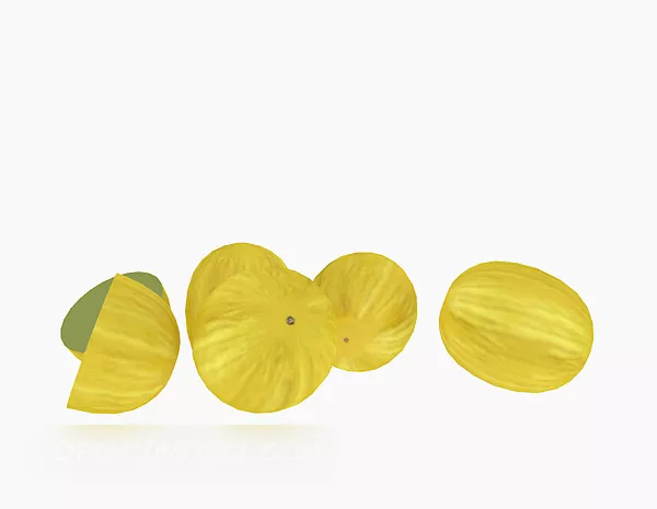 Watermelon Fruit 3d model Watermelon Fruit 3d model